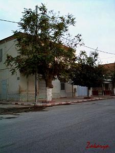 TELAGH AU FIL DES RUES 01